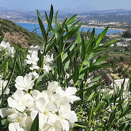 Villa Aloe Chania Crete Georgioupoli