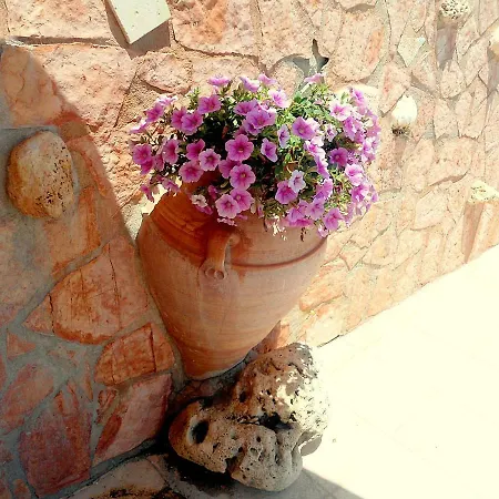 Villa Aloe Chania Crete Georgioupoli